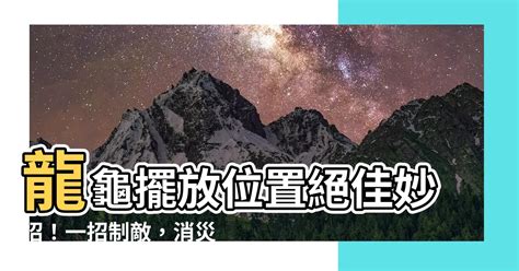 龍龜擺放|龍龜擺放位置禁忌不可不知！精通風水老師教你如何擺。